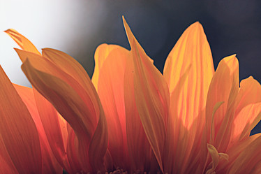 Similar image 10497260