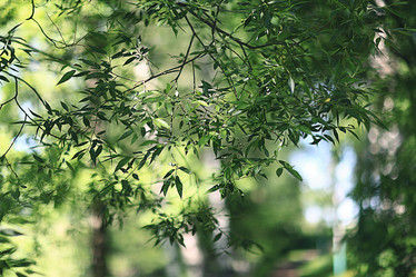 Similar image 10497267