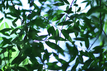 Similar image 10497269