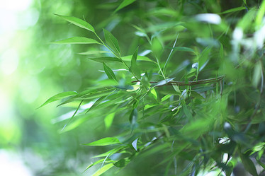 Similar image 10497270