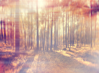 Similar image 10497279