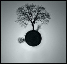 Similar image 10497282