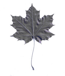 Similar image 10497285