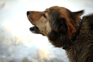 Similar image 10497289