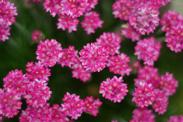 Similar image 10497290