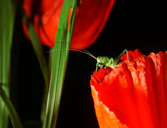 Similar image 10497291