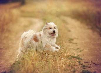 Similar image 10497295