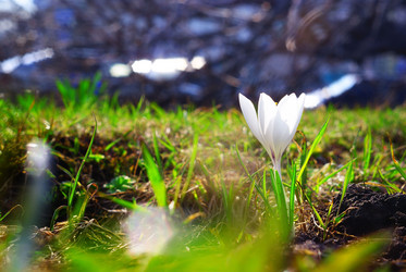 Similar image 10497296