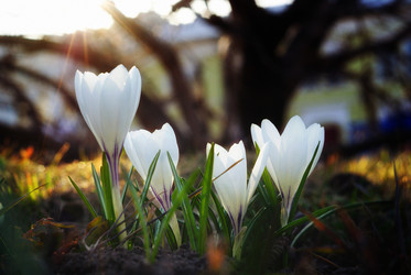 Similar image 10497299