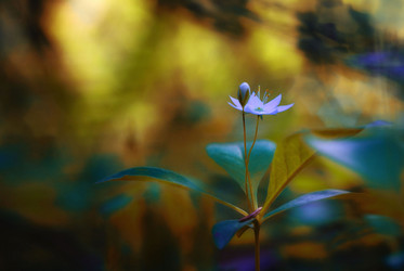 Similar image 10497307