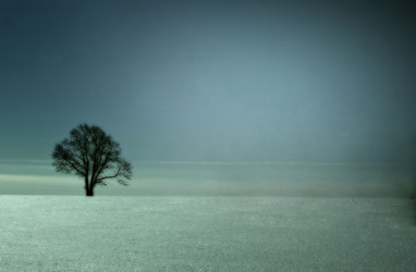 Similar image 10497309