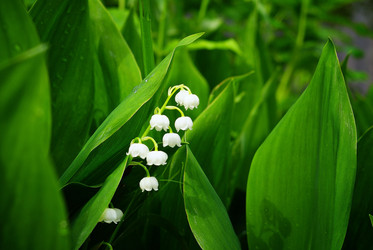 Similar image 10497313