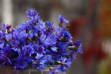 Similar image 10497331