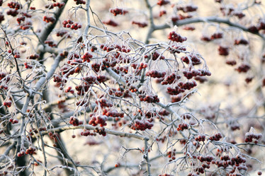 Similar image 10497333