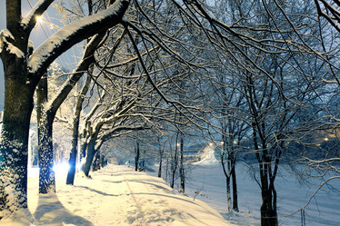 Similar image 10497341