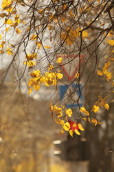 Similar image 10497347