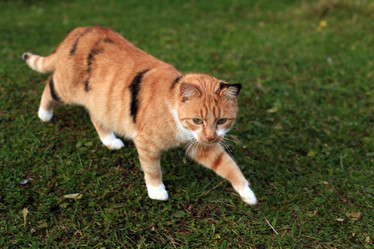 Similar image 10497350