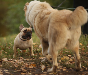 Similar image 10497354