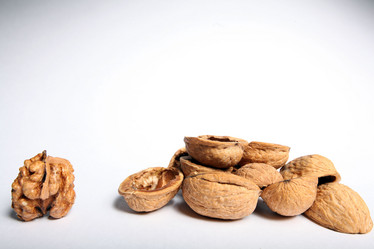 Similar image 10497355