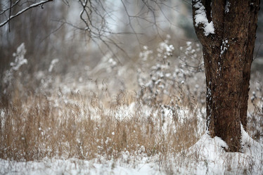 Similar image 10497370