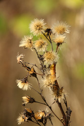 Similar image 10497371