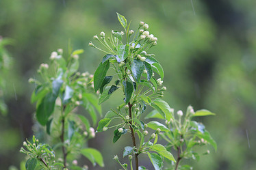 Similar image 10497384