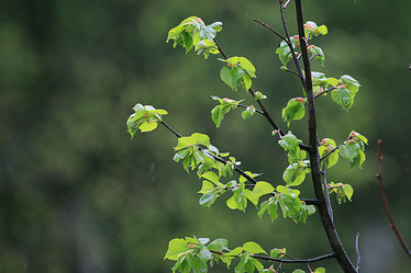 Similar image 10497387