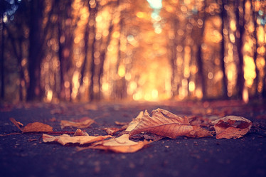 Similar image 10497388