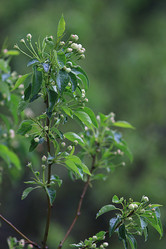 Similar image 10497389