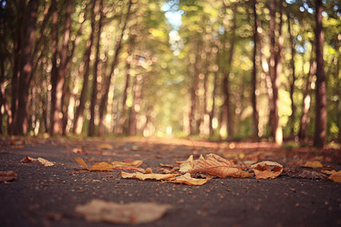 Similar image 10497390