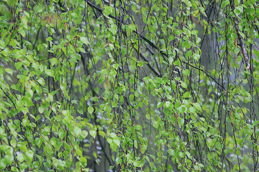 Similar image 10497391