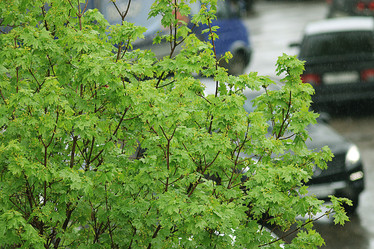 Similar image 10497393