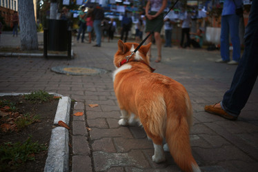 Similar image 10497394