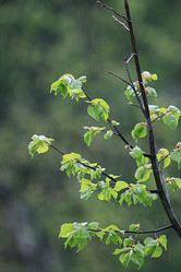 Similar image 10497395