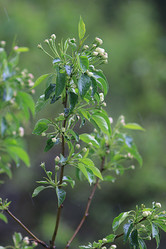 Similar image 10497396