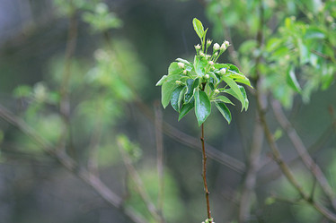 Similar image 10497400