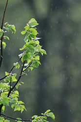 Similar image 10497403