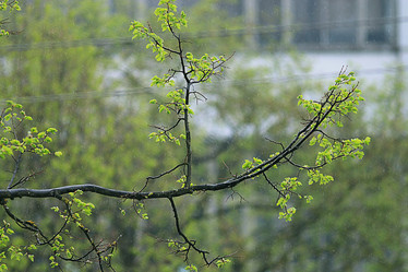 Similar image 10497405