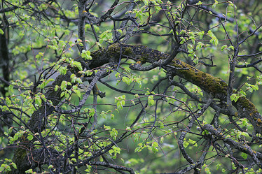 Similar image 10497416