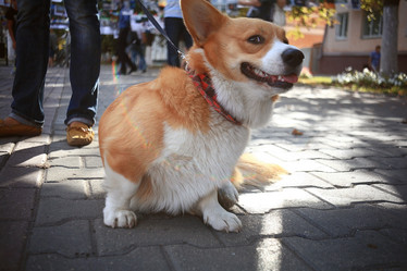 Similar image 10497417