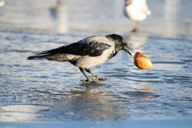 Similar image 10497419