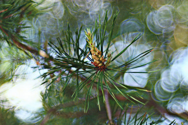 Similar image 10497424