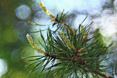 Similar image 10497425