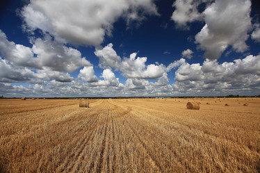 Similar image 10497427