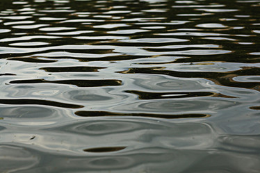 Similar image 10497429