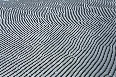 Similar image 10497444