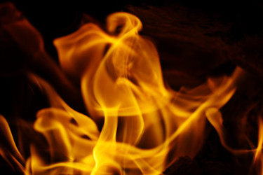 Similar image 10497449