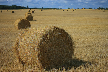 Similar image 10497456