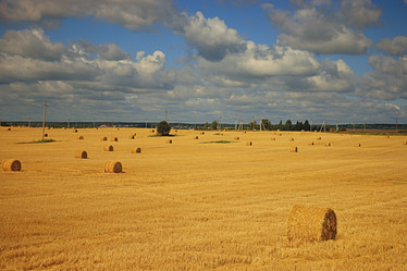 Similar image 10497460