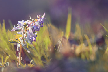 Similar image 10497462